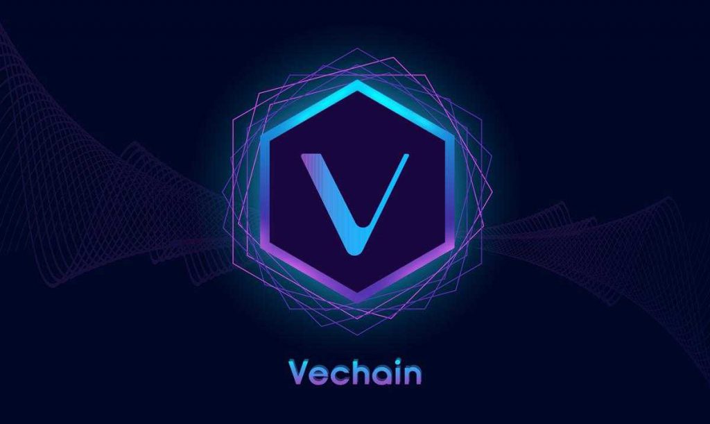 vétérinaire de vechain
